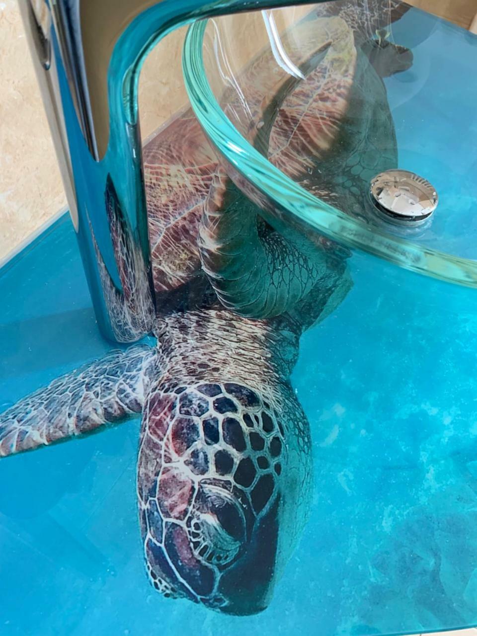 Hotel Residence Veliero リッチョーネ エクステリア 写真